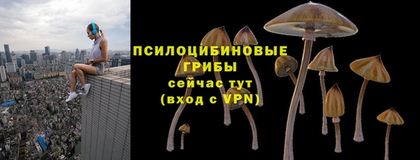 эйфоретик Корсаков