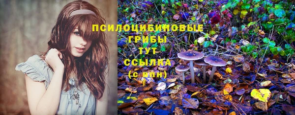 MDMA Козловка