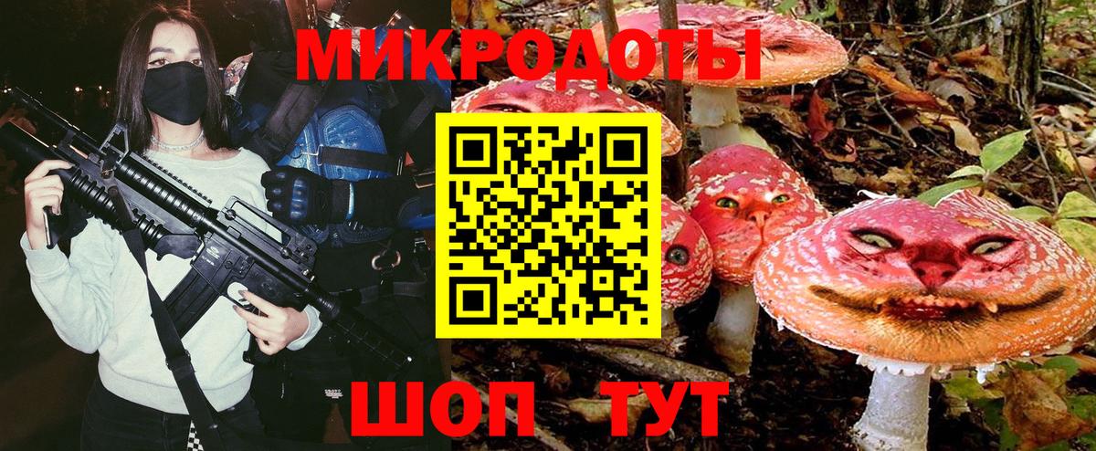 Псилоцибиновые грибы Cubensis Мичуринск