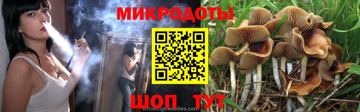 Мичуринск  Галлюциногенные грибы прущие грибы  Вход с VPN 
